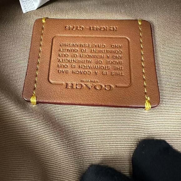 Coach Mini Rowan Crossbody Bag Cherry Print Leather Silver/Chalk Multi CY745 NWT - Picture 13 of 13